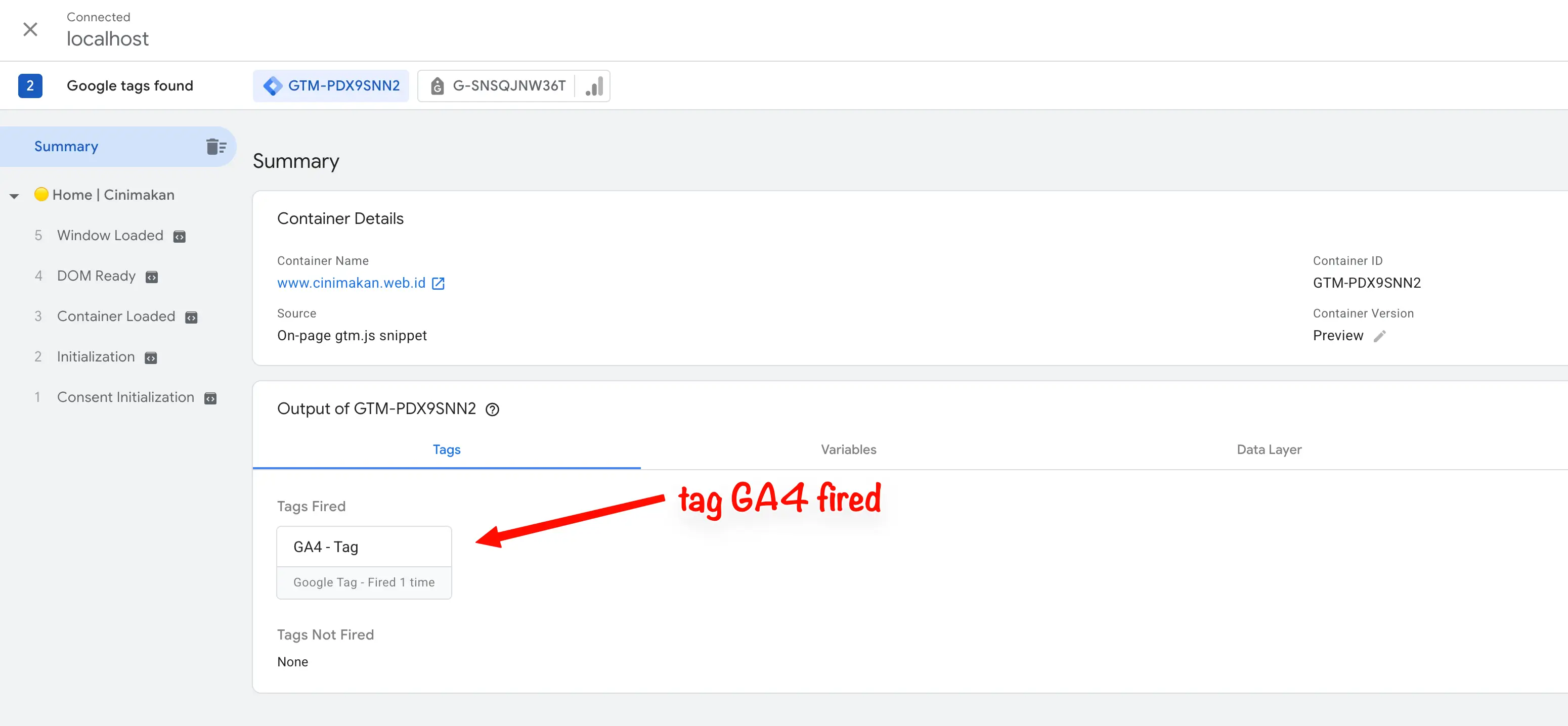 Tags Fired di Tag Assistant