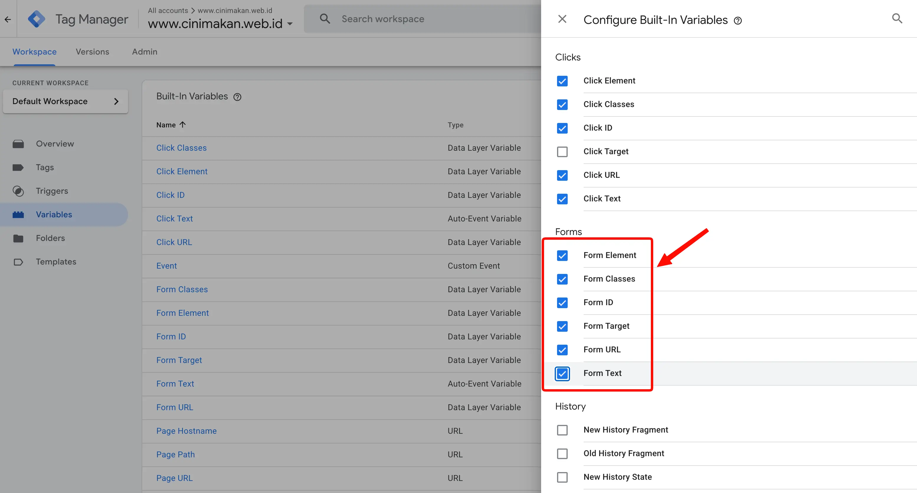 Mengaktifkan Built-in Variables untuk Forms di GTM